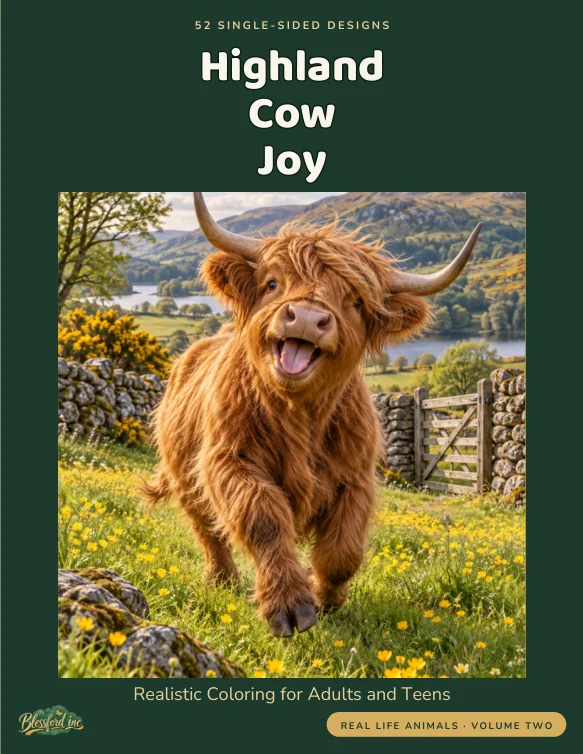 Cover of Highland Cow Joy