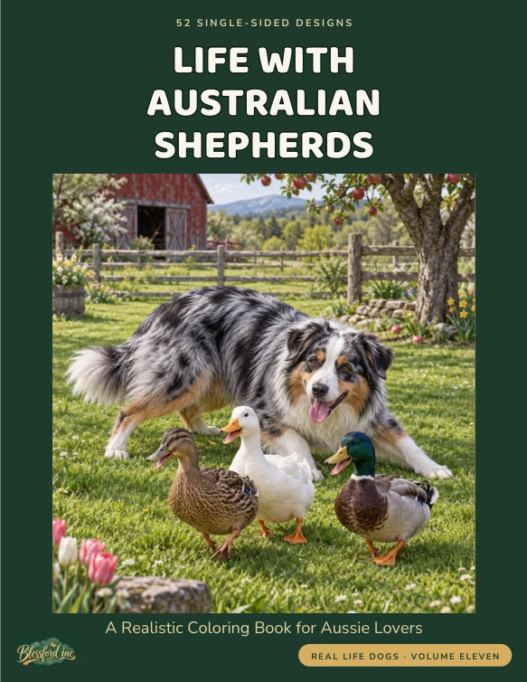 Cover of Life With Australian Shepherds