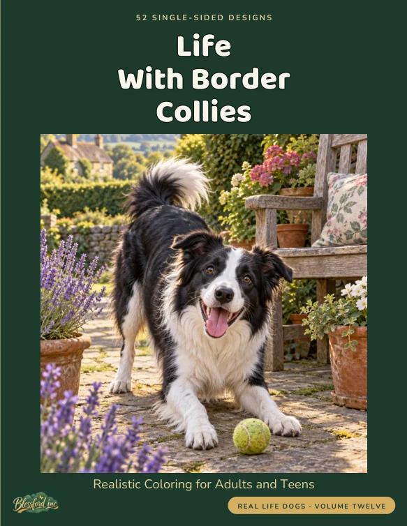 Cover of Life With Border Collies