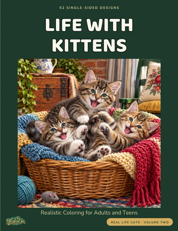 Cover of Life With Kittens